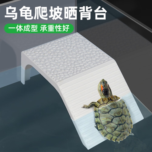 乌龟晒背台浅水龟杠爬坡巴西龟草龟半水龟爬台休息台躲避水陆两用