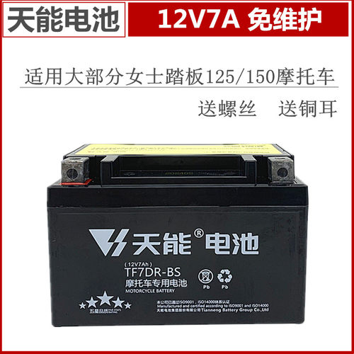 天能免维护电池干电瓶