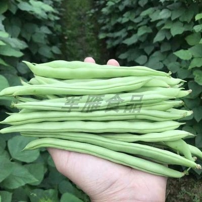 农家新鲜四季豆芸豆菜豆当季蔬菜