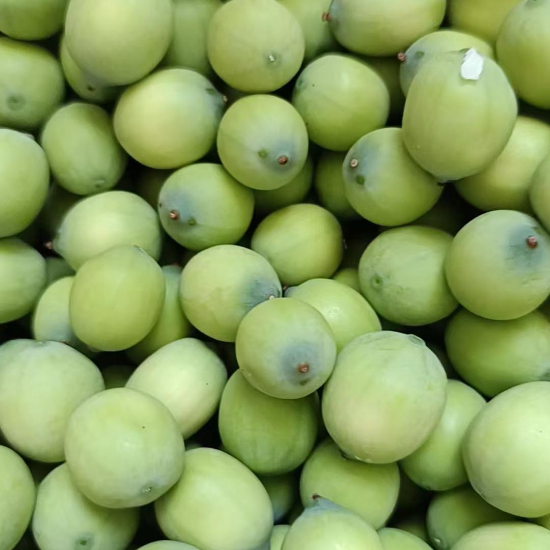 洪湖带壳莲子新鲜生吃水果莲子