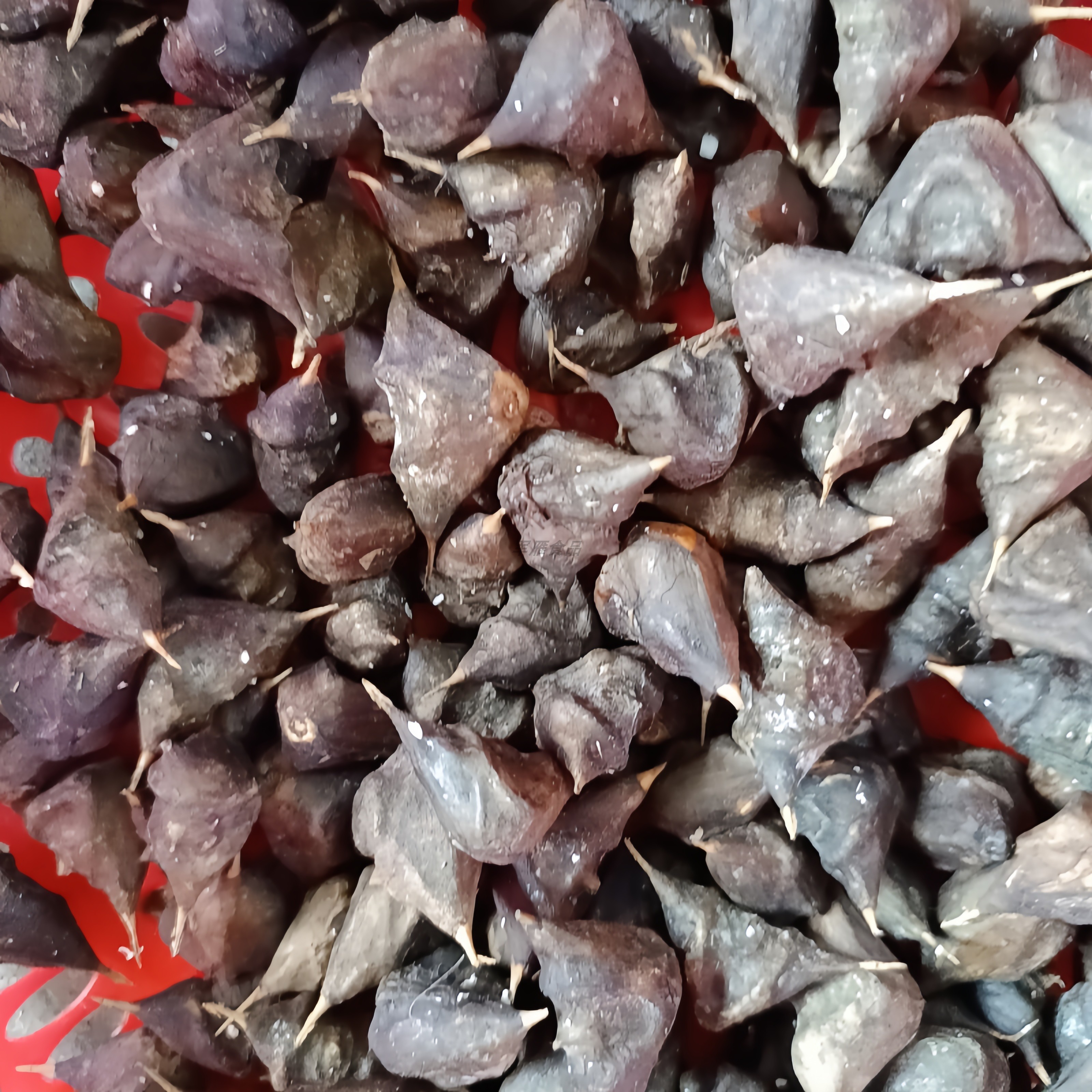 冰冻四角两角小菱角煮随机发货