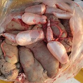 顺丰发货鱼籽鱼泡鱼杂鱼油2 5斤新鲜鲢鱼鲫鱼草鱼鲤鱼鱼籽鱼泡