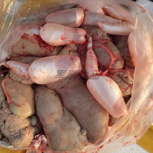 新鲜湖北洪湖鱼籽鱼泡鱼杂鱼内脏