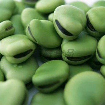 新鲜冰冻蚕豆米蚕豆荷于鲜