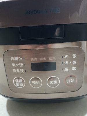 九阳电饭煲4升低糖饭柴火饭做蛋糕F40Fy_F6375