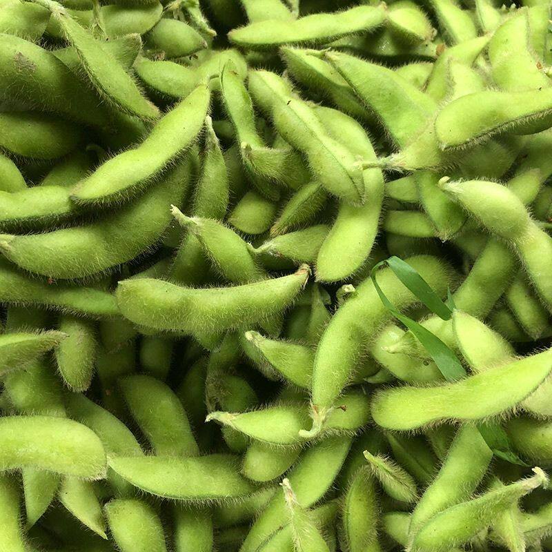 江西永丰新鲜嫩毛豆荚农村种植现摘现发带壳发货农家露天时令蔬菜