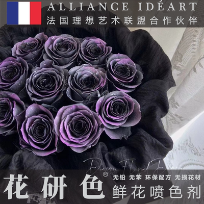 花研色鲜花喷漆染色工具