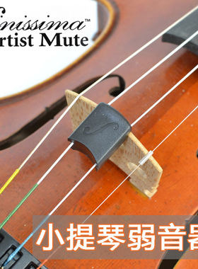 美国进口乐团演出朦胧音