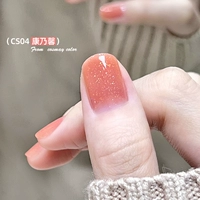 CS04 Carnations