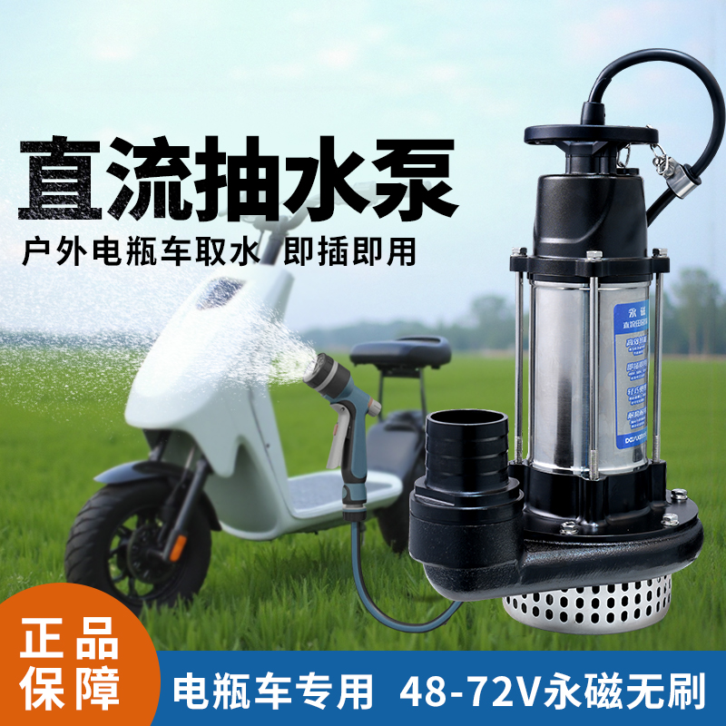大元48v72v电动车抽水泵