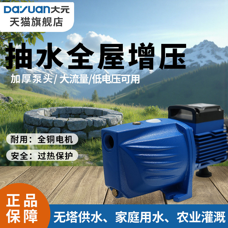 大元增压泵压水井水抽水泵压力泵220V喷射泵农村水井自吸水泵JET