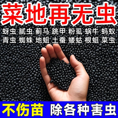 土壤除虫专用撒施型清菌颗粒菜地杀虫治病菌生根壮苗瓜果蔬菜通用