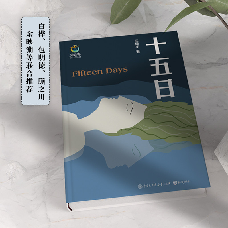 新书首发】十五日(武捷宇)致青春少年成长文学 亲情友情关怀长篇小说