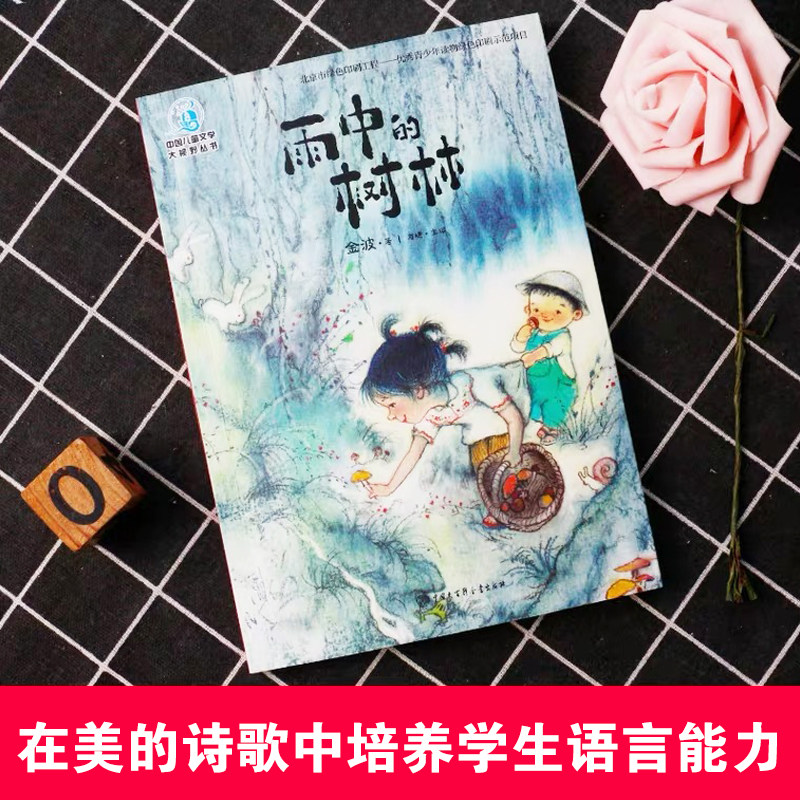 大视野:雨中的树林(全彩插图)金波