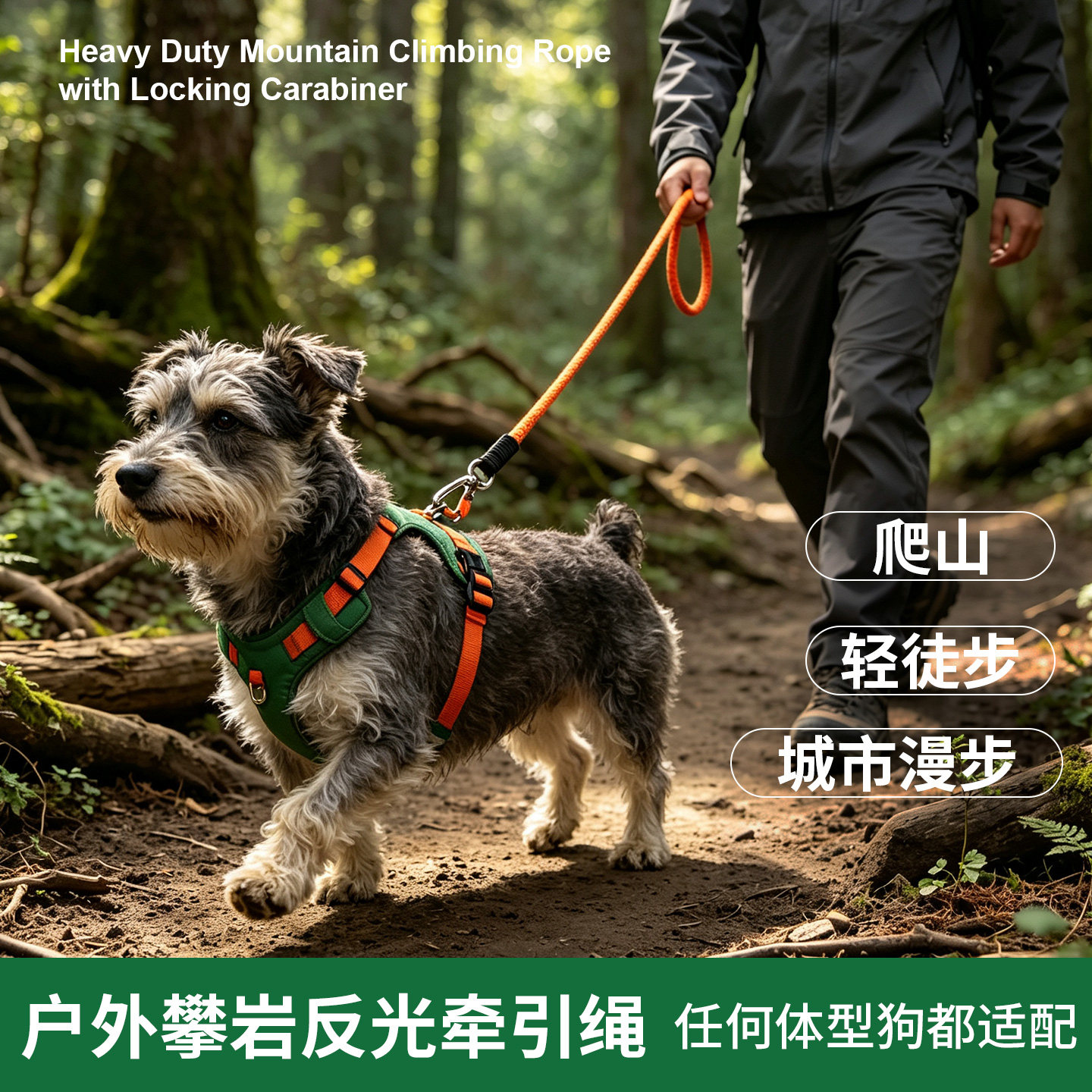 BeauGo大型犬短款遛狗牵引绳