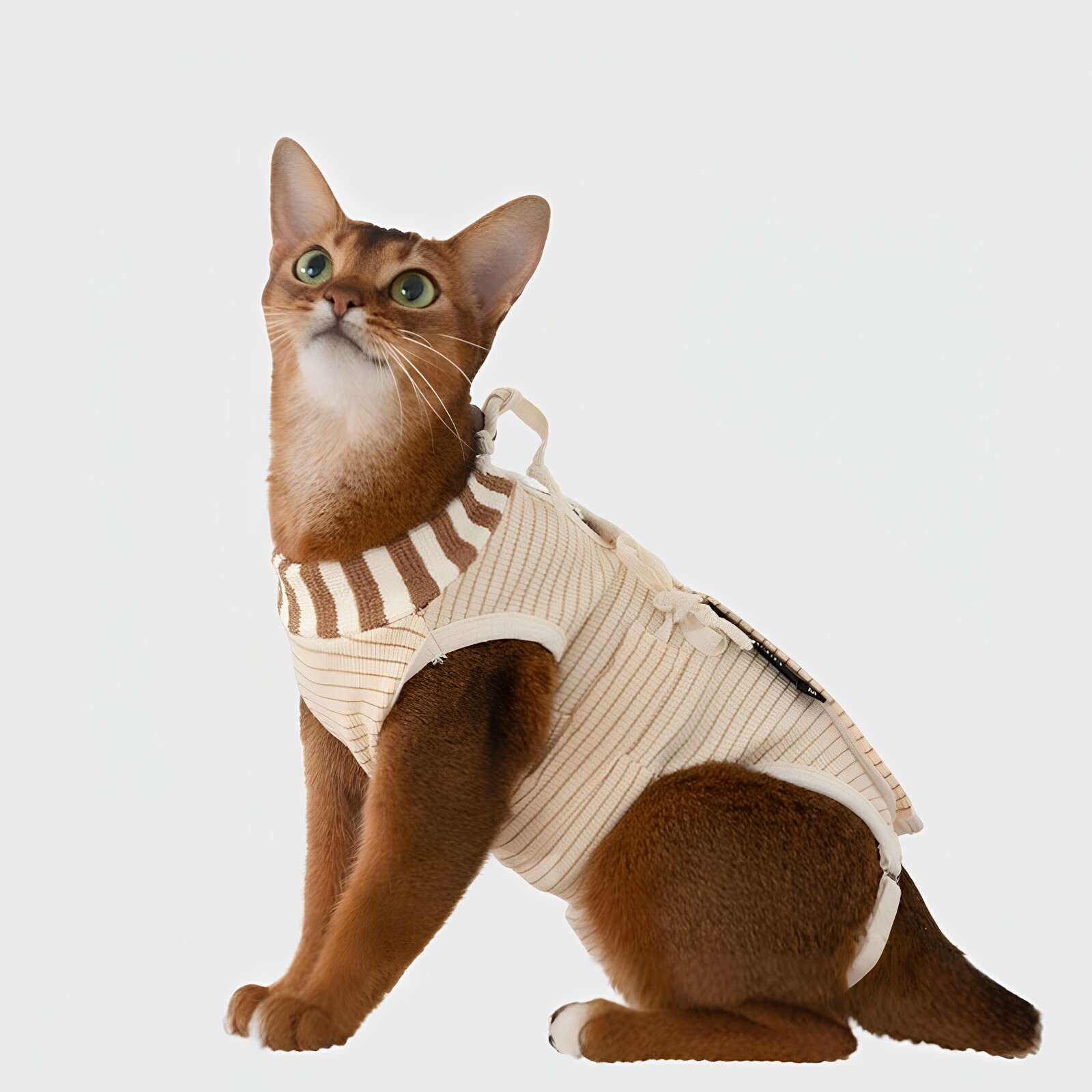 HiDREAM猫咪绝育手术服母猫断奶