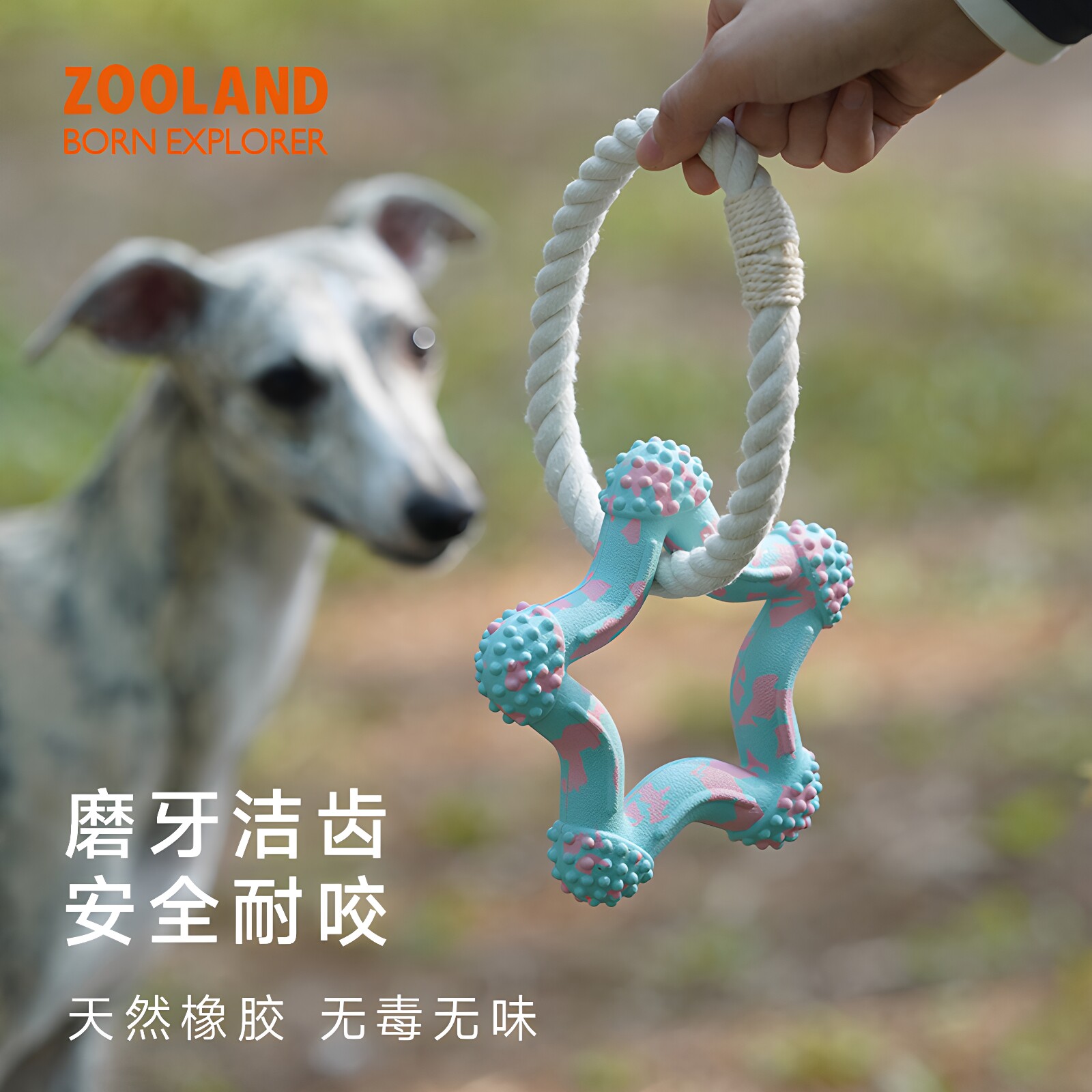 ZOOLAND咬不坏拔河狗玩具绳结环