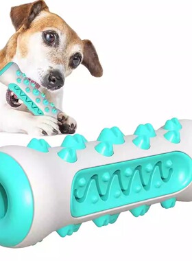 QZee丰荣漏食狗玩具磨牙棒藏食洁齿TPR牙刷耐咬金毛边牧中大型犬