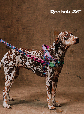 QZee减震牵引绳ZeeDog&Reebok狗狗缓冲护手狗链中大型犬遛金毛