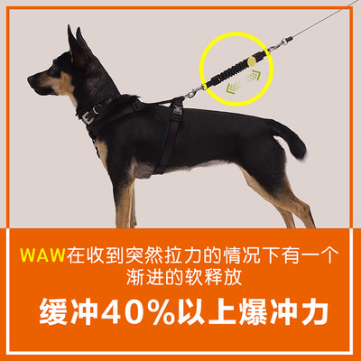 意大利进口WAW防爆冲减震拉力器