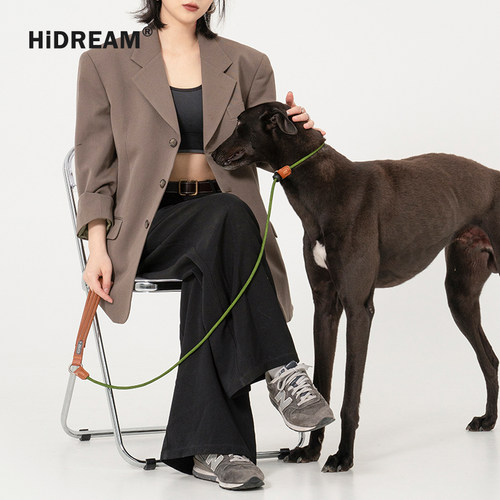 HiDREAM狗狗牵引绳防爆冲一体P绳