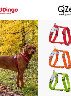 QZee澳洲瑞鼎狗胸背 尼龙Reddingo牵引绳 小中大型犬金毛柯基法斗