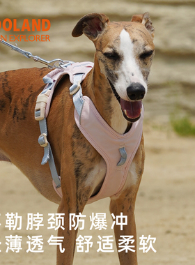 QZee狗狗胸背牵引绳ZOOLAND工字型不勒脖遛狗小中大型犬金毛柯基