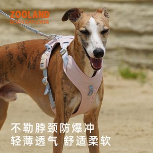 QZee狗狗胸背牵引绳ZOOLAND工字型不勒脖遛狗小中大型犬金毛柯基