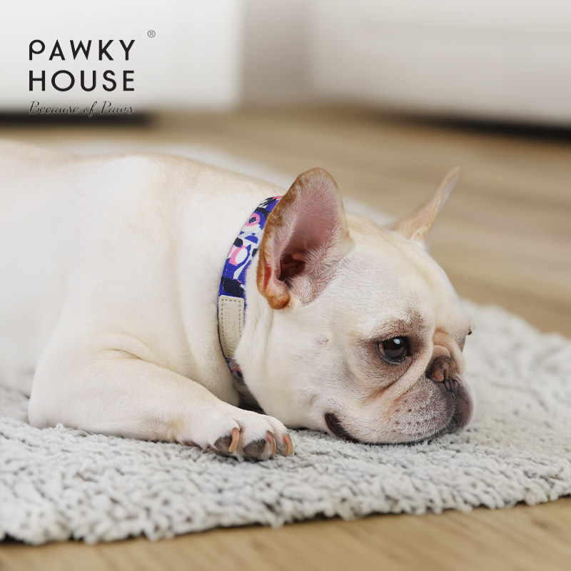 有爪舒压减震狗狗项圈调节多功能