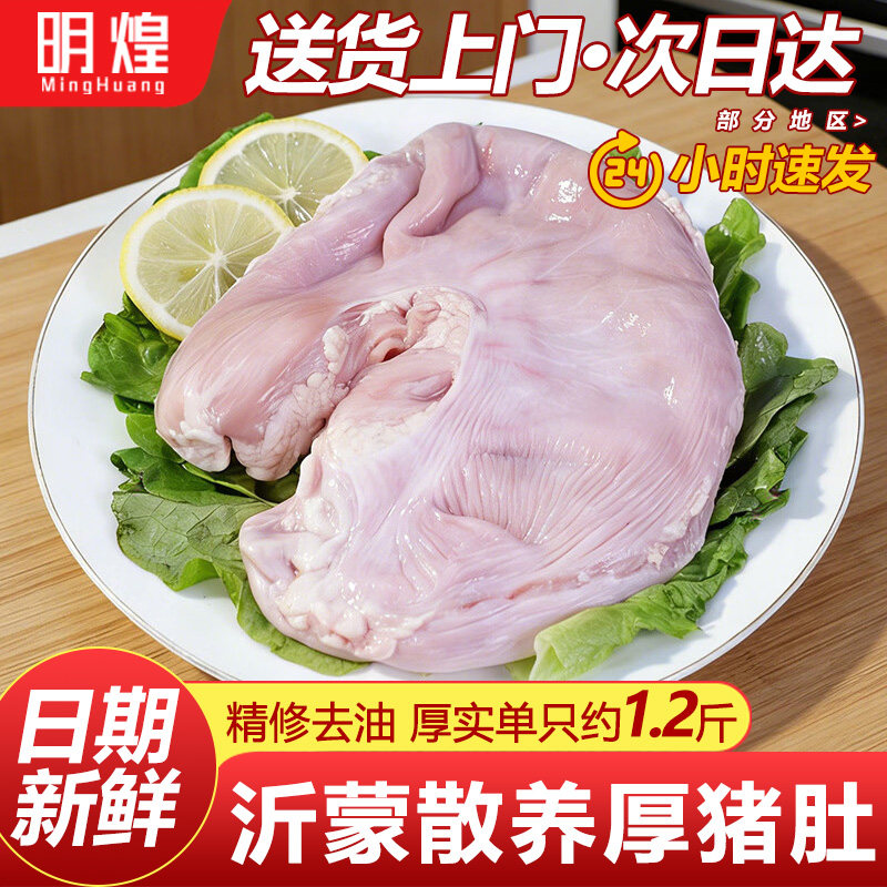 猪肚新鲜猪肚批发整只猪肚商用生鲜肚猪肚子生猪肚新鲜批发猪内脏