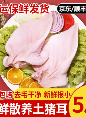 【京东顺丰包邮】新鲜猪耳朵根小去毛干净冷冻猪耳生猪耳片