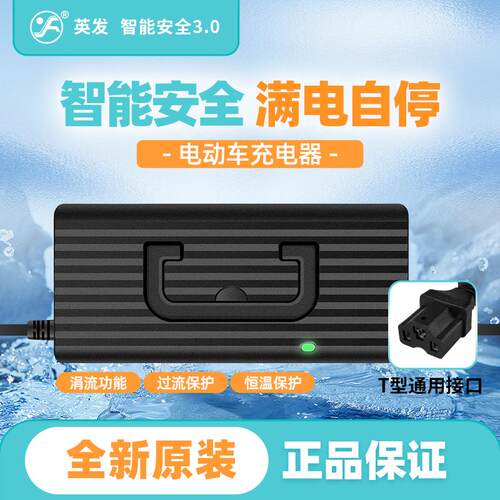 英发三轮电动车充电器