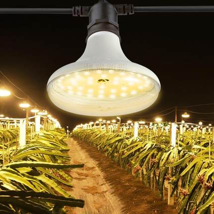 LED大棚种植葡萄红蓝植物灯仿太阳火龙果菊花草莓育苗兰花卉绿植