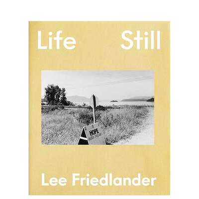 【预售】李 弗里德兰德 生活静止Lee Friedlander  Life Still英文摄影集摄影师专辑Lee Friedlander精装Aperture9781597115964