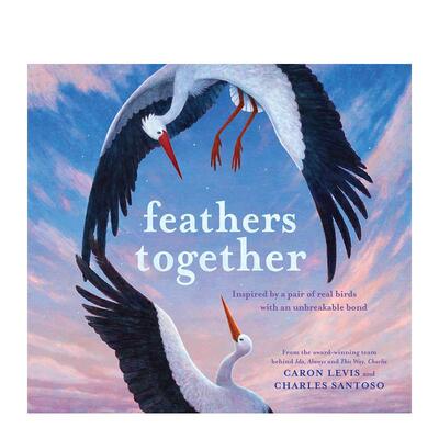 【现货】春日再聚Feathers Together 英文儿童绘本动物生态环保Charles Santoso精装Abrams Appleseed3-6岁进口原版书97814197545