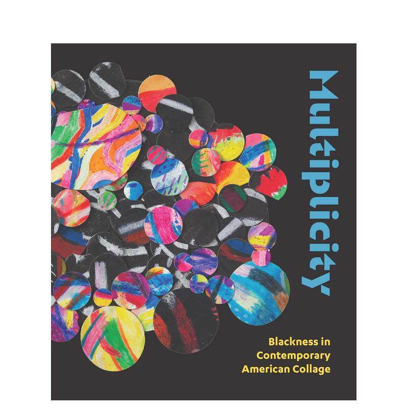 【现货】多样性当代美国黑人拼贴艺术Multiplicity英文外国美术当代Kathryn E DelmezYale University Press精装进口原版书