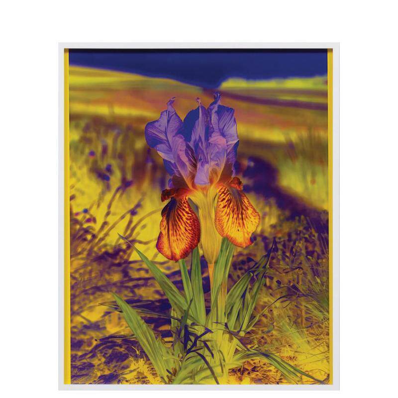 【现货】丽莎奥本海姆永恒的替代Lisa Oppenheim The Eternal Substitute英文博物馆展览私人收藏画册Lauren CornellHatje Cantz进