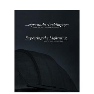 【预售】…等待闪电脚浸水中凝望群星... Expecting the Lightning英文艺术家艺术工作室Ale De La PuenteTurner平装进口原版书97