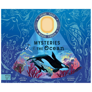 预售 6周岁 书精装 海洋之谜英文儿童趣味进口原版 the Mysteries Shine Ocean Magic 外版 Torch 魔法火炬 Cami Your