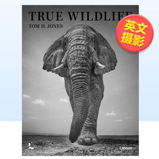 外版 Tom 哈苏大师赛获奖者Tom Wildlife 14岁以上True 书精装 身临野境英文摄影摄影师专辑进口原版 Jones 现货