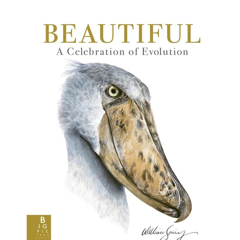 美丽:进化的庆典 Beauti