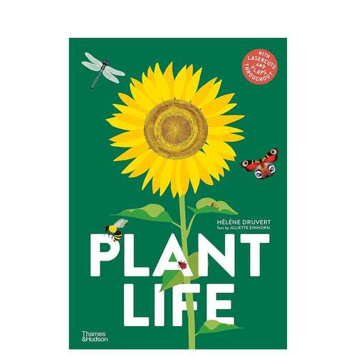 植物世界 Plant Life