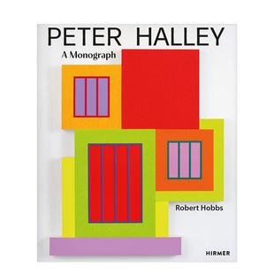 现货 原版 彼得·哈雷 Halley 英文艺术画册画集 Peter