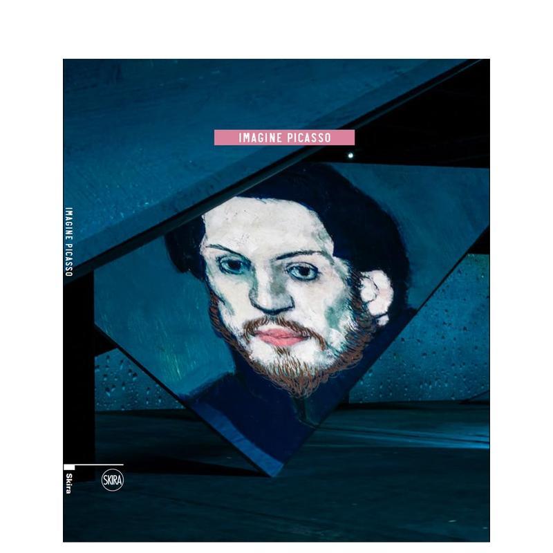 想象毕加索 Imagine P