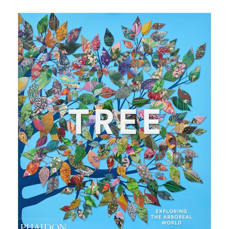 树木：探索植物世界 Tree
