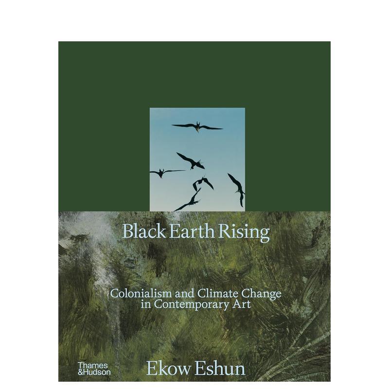 【预售】黑土觉醒Black Earth Rising英文艺术家艺术工作室精装Thames Hudson进口原版书9780500028780