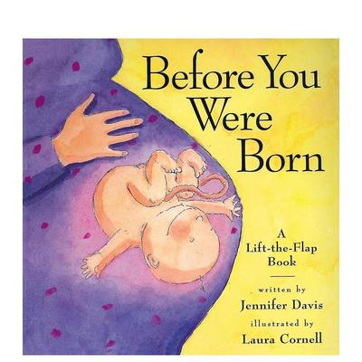 【现货】在你出生之前Before You Were Born英文青少年读物3-6岁精装Jennifer Davis and Laura Cornell进口原版书Workman9780761