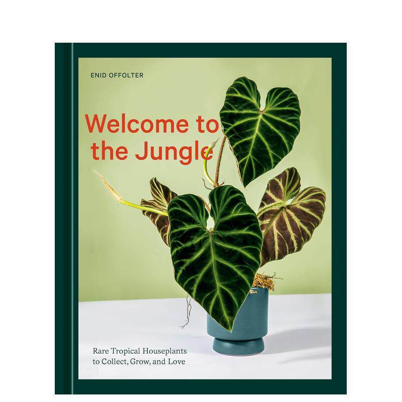 欢迎来到丛林 Welcome