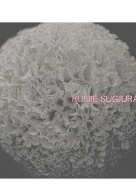 【现货】杉浦邦惠Kunié Sugiura英文艺术家艺术工作室Tacita DeanMACK精装进口原版书9781915743817