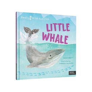 一天 6岁进口 pictures3 Whale英文儿童绘本动物生态环保Anna 现货 小鲸鱼 Brett精装 Wild Really Families words Little